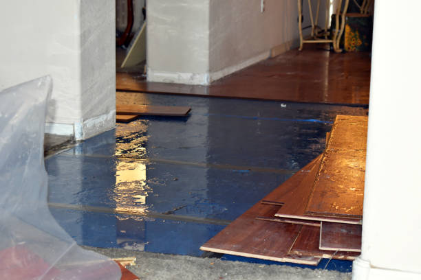 Professional Emergency Water Damage Restoration technician working in Belmont, OH
